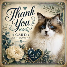 Thank You Card Collection
