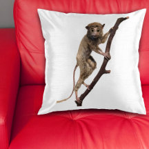 Funny Taxidermy Primate Lemur Creature Big Eyes