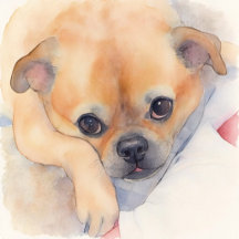 Ministry Mascots