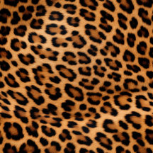 Leopard and Zebra Animal Print