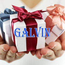 Galvin_Name T-Shirt