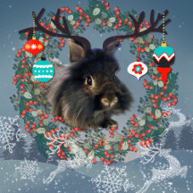 Reindeer Bunny