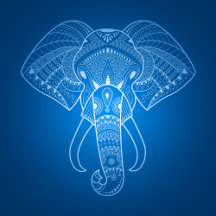 Serious Elephant Two