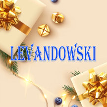 Levandowski_Name T-Shirt