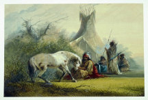 Horses & Classic Wild West