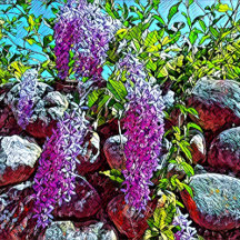 Blooming lilac flower garden