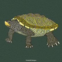 Diamondback Terrapin