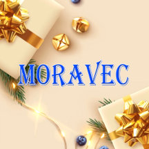 Moravec_Name T-Shirt
