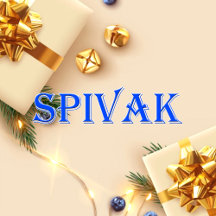 Spivak_Name T-Shirt