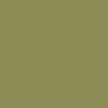 Trend Color - Olive Green