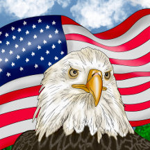 Hand drawn Bald Eagle and American Flag
