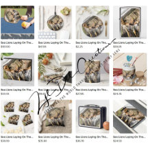 Gifts with sea lions laying on the rocks design