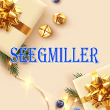 Seegmiller_Name T-Shirt
