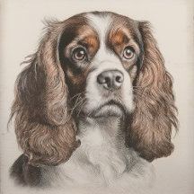 Royal Hearts – Cavalier King Charles Spaniel Gifts