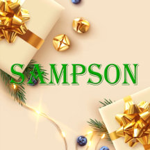 Sampson Name T-Shirt