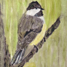 Black-capped Chickadee Bird - acrylic painting.