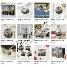 Gifts with young fur seal on the rock design