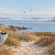 Bluemora Haven