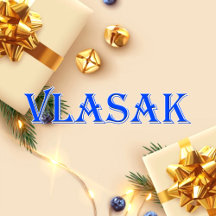 Vlasak_Name T-Shirt