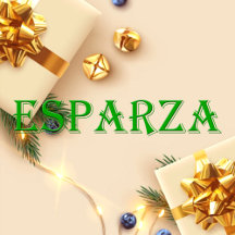 Esparza Name T-Shirt