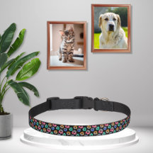 Pet Collars & Leashes Galore 