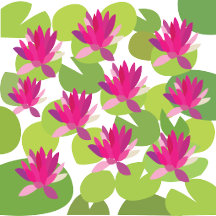 Lily Pad Lilies Lotus Gifts 