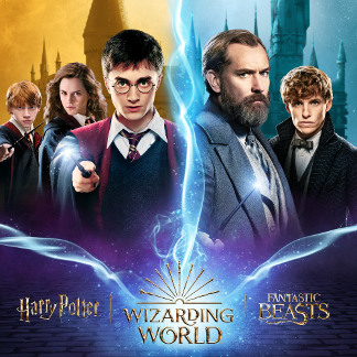 Official Harry Potter Merchandise