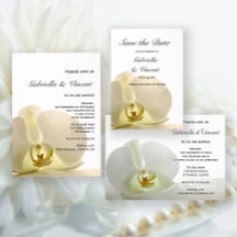 Orchid on White Wedding