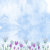 RaindropsOnTulips