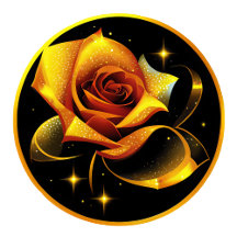 Stunning Single Gold Rose
