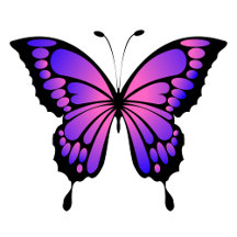 Butterfly Stickers