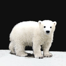 Polar Bear Cub Christmas Collection