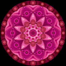 Pink Mandalas