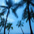 HAWAIIANDECOR