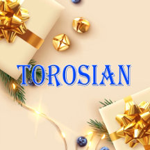 Torosian_Name T-Shirt