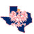 Polish Texan Heritage Shop