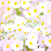 Yellow Sunflower trendy vibrant color paper art