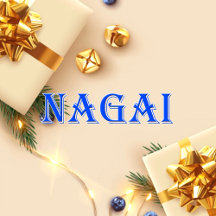 Nagai_Name T-Shirt