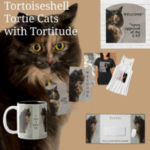 Tortie Tortoiseshell Cats with Toritude