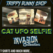 Cat UFO Selfie: Invasion