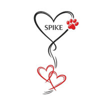 Heart & Paw Personalized Flowing Heart Collection