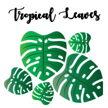 Tropical Leaves