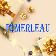 Pomerleau_Name T-Shirt
