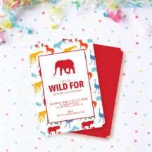 Safari Animal Collection