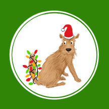 Decorate & Get in the Holiday Spirit