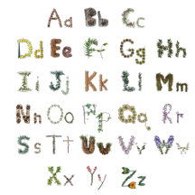 Nature Alphabet - Botanical Flowers and Plants