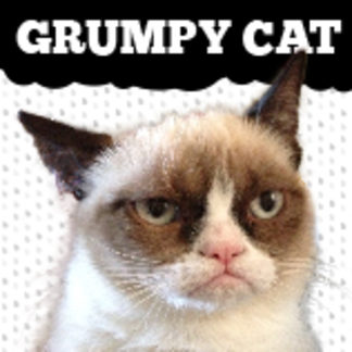The Grumpy Cat