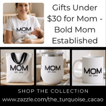 Gifts Under $30 for Mom - Bold Mom Established
