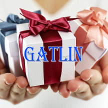 Gatlin_Name T-Shirt