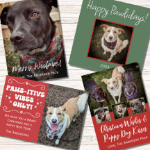 Dog Photo Christmas Greetings